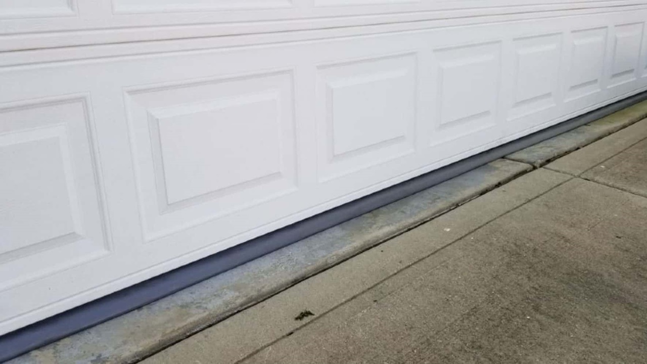 The Role of Garage Door Seals in Pest Control