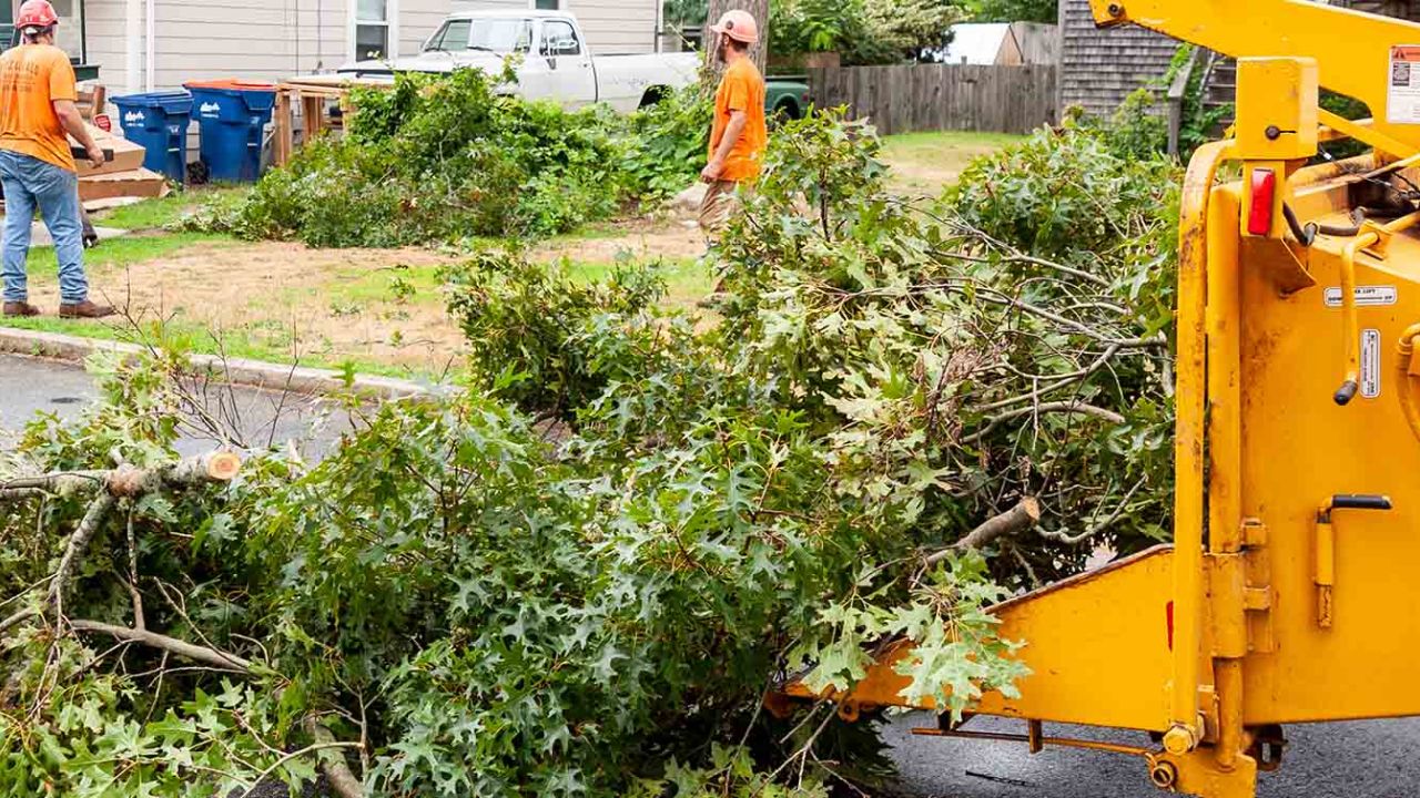 Wood Chipper Blades in Commercial vs. Residential Applications